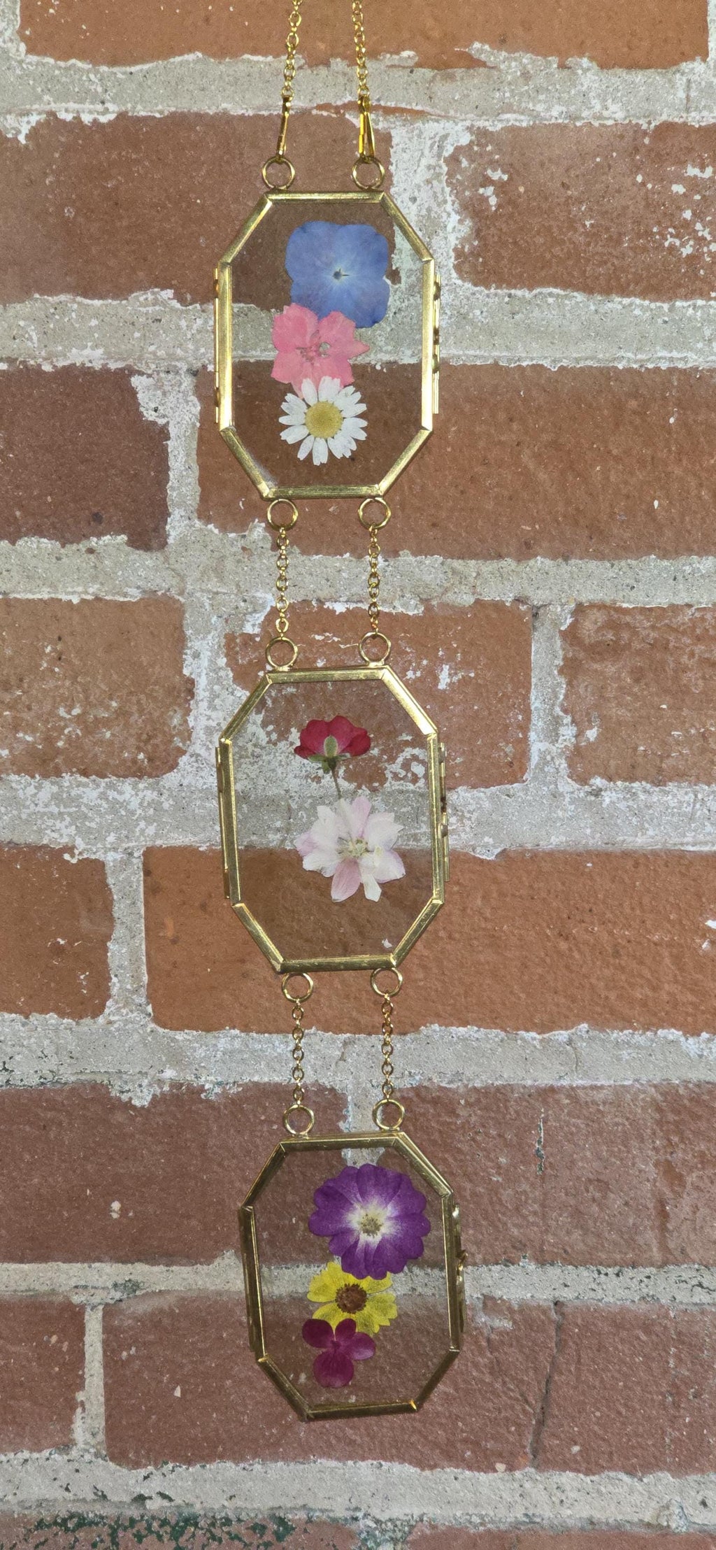 Mini pressed flower frame, multi color