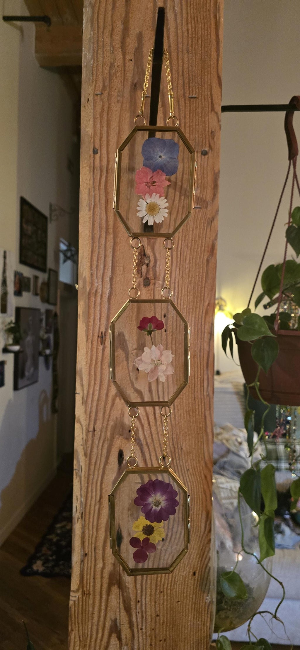 Mini pressed flower frame, multi color